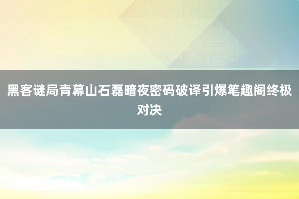 黑客谜局青幕山石磊暗夜密码破译引爆笔趣阁终极对决